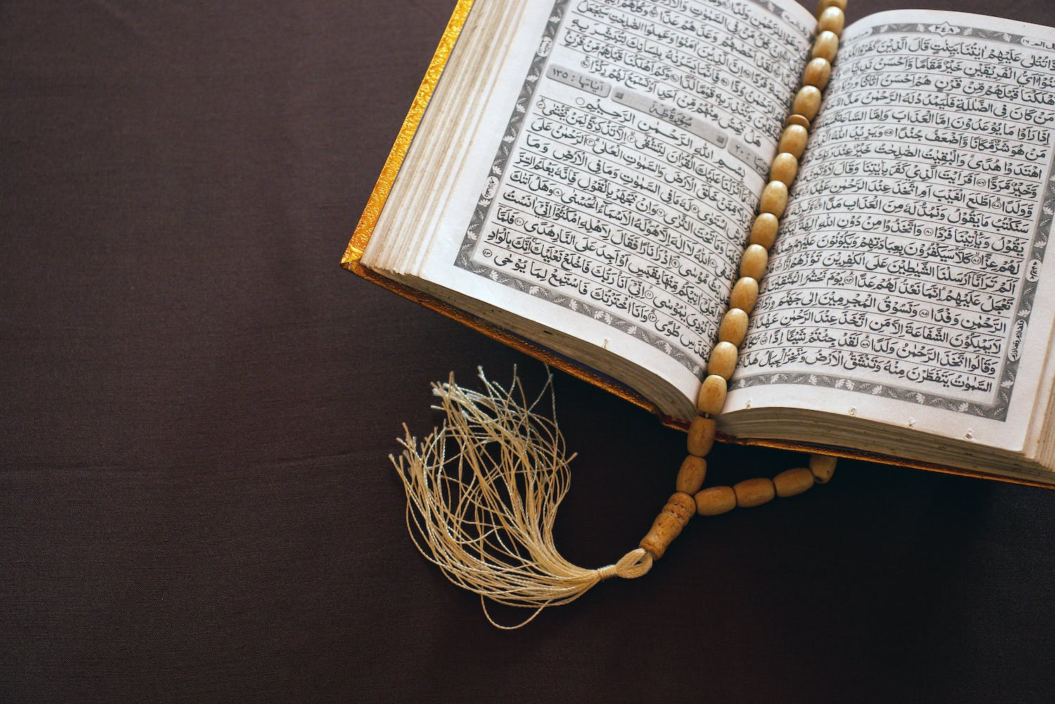 Understand Quran Word by Word